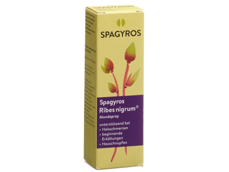 SPAGYROS Ribes nigrum Mundspray D 1 30 ml